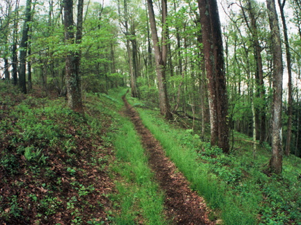 Ridge Trail